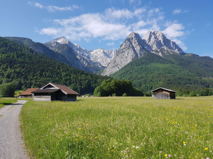Weg über die Wiesen mit Alpspitze und Waxensteine